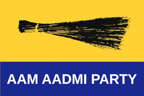 AAP Logo